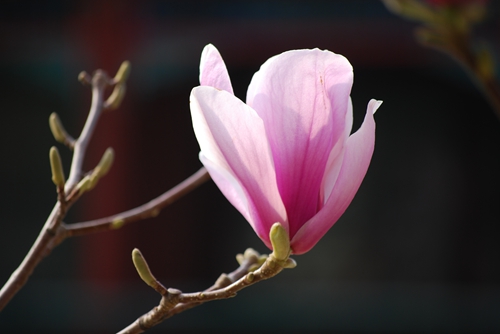 DSC_0016.JPG