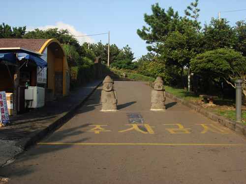 DSC07910_.jpg