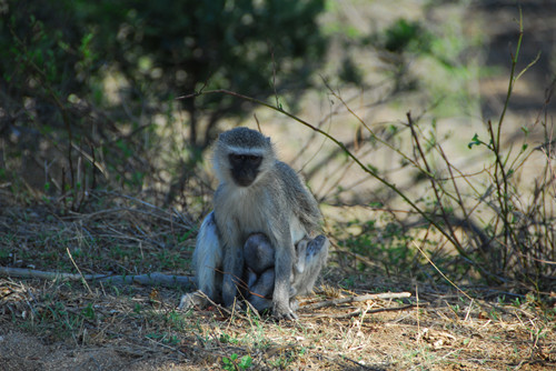 DSC_0500_.jpg