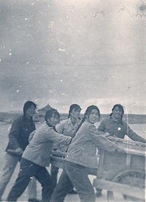 干活.jpg