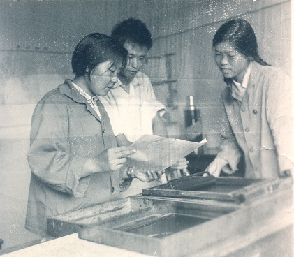 麦收战报（荆淑珍、陈炳喜和许兆秋）.jpg
