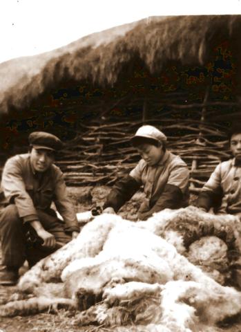 羊号班（刘广成、陆玉蓉和马俊莱）.jpg