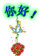 79.gif