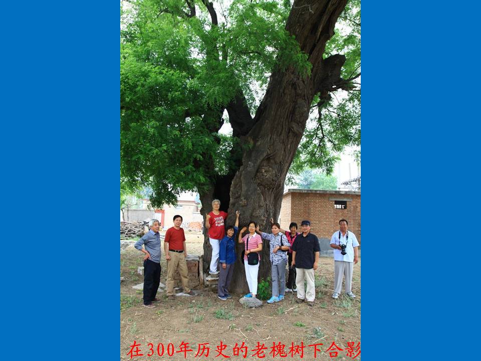 幻灯片31.JPG