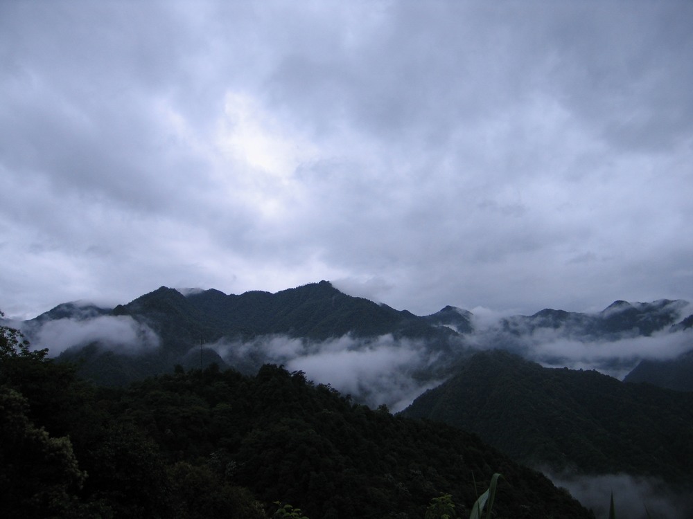IMG_8513.JPG