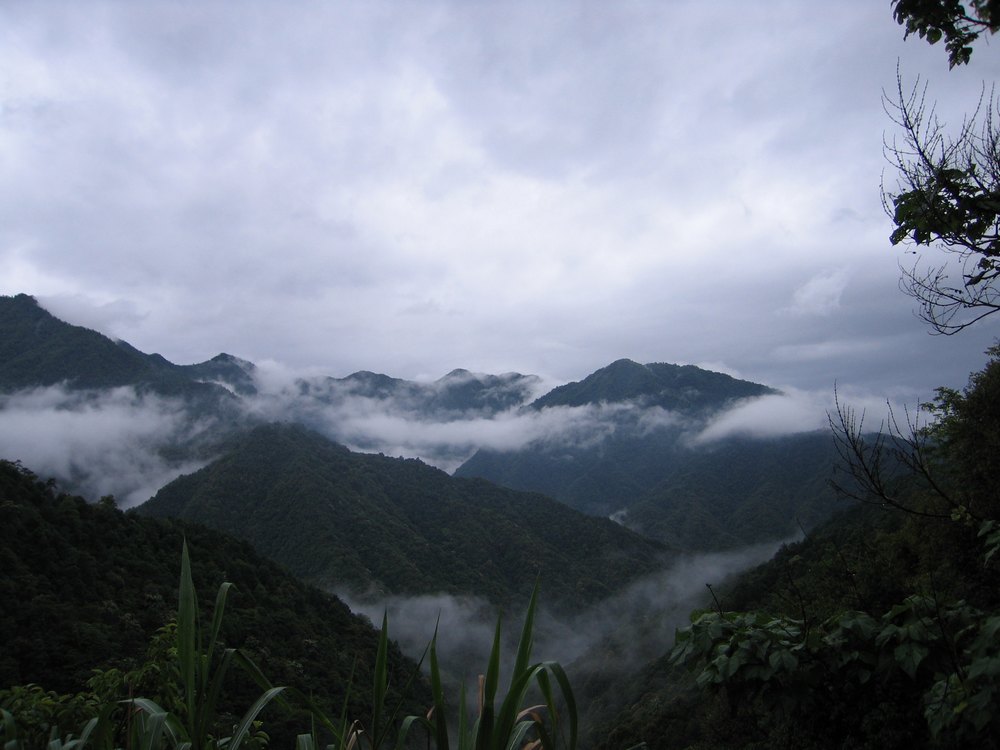 IMG_8514.JPG