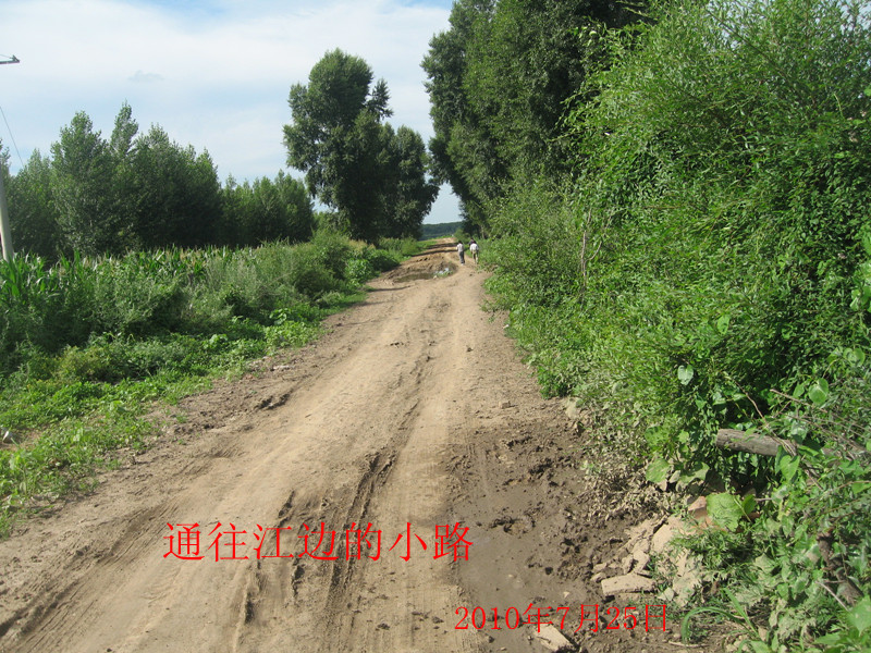 Ƭ2010 099_.jpg