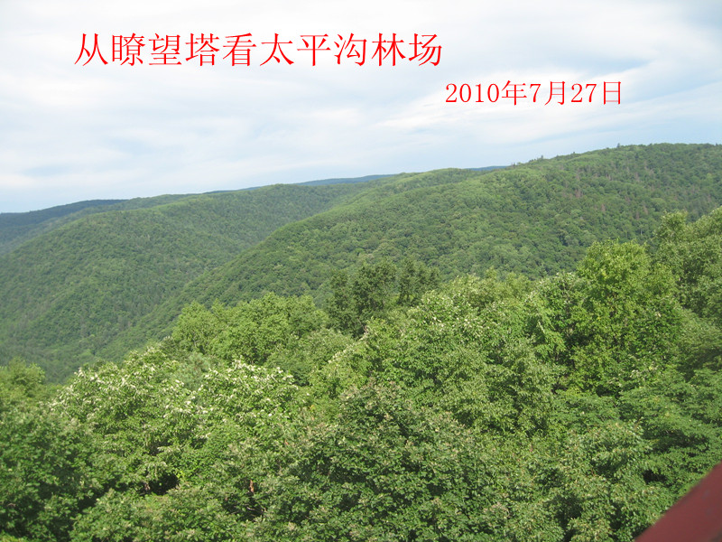 Ƭ2010 147_.jpg