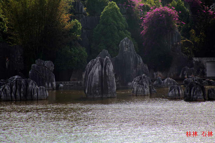 2011.6.12 368.jpg