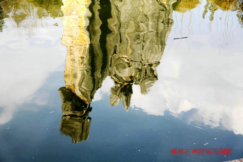 2011.6.12 341.jpg