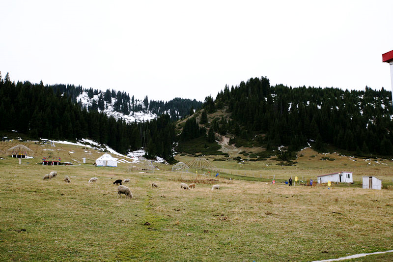 EPV0964.JPG