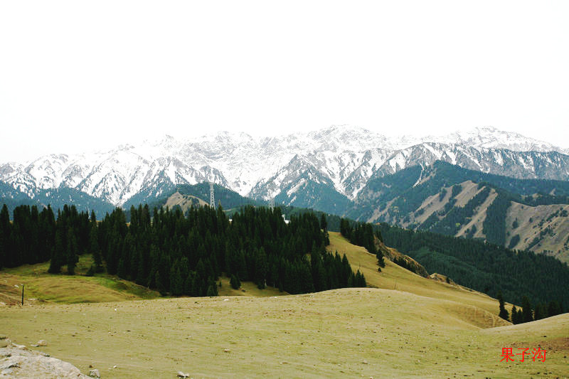 EPV0969.JPG