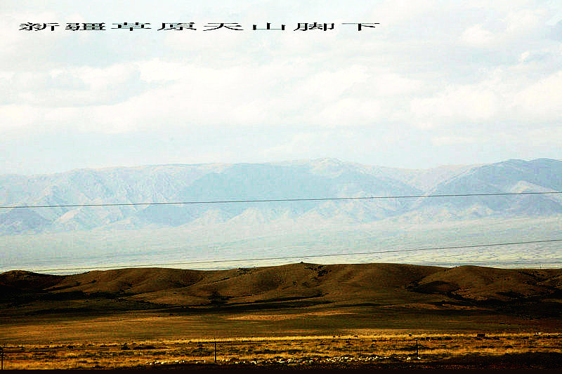 EPV0431.JPG