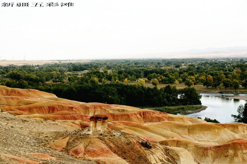 EPV0456.JPG