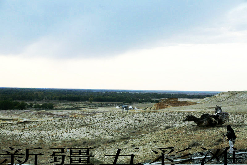 EPV0468.JPG