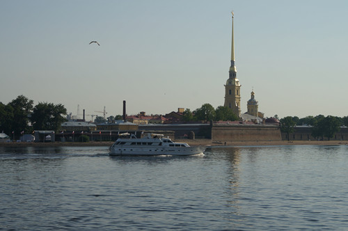 DSC00558_.jpg
