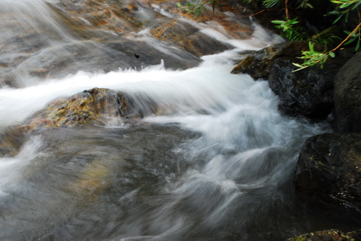 DSC_0283.JPG