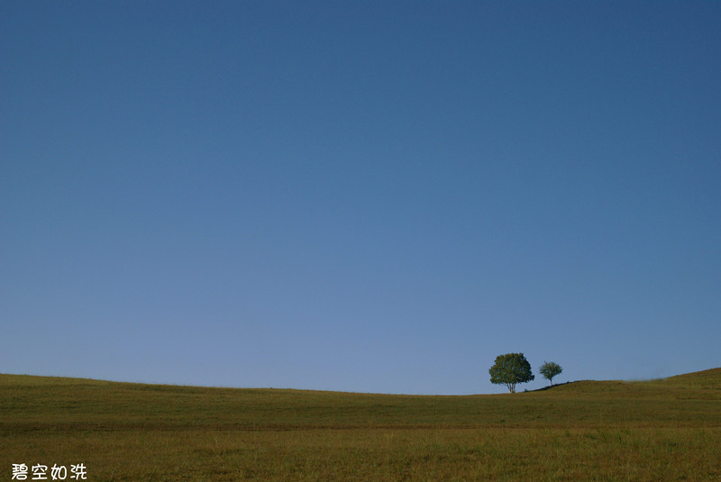 DSC04263_.jpg
