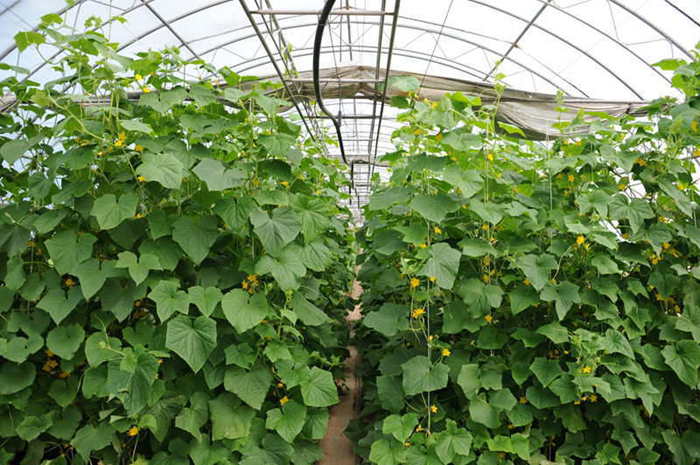 20130803104603_.jpg