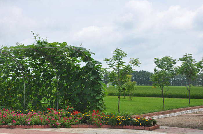 20130803104552__.jpg