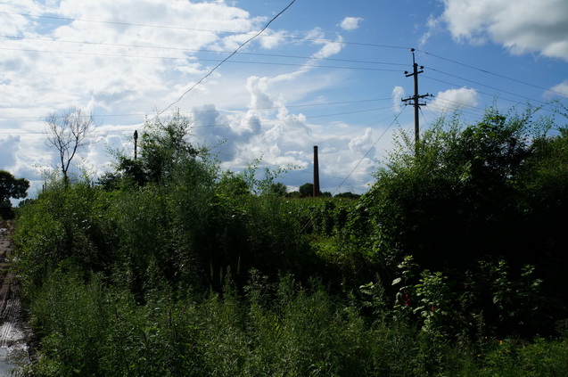 DSC01534.JPG