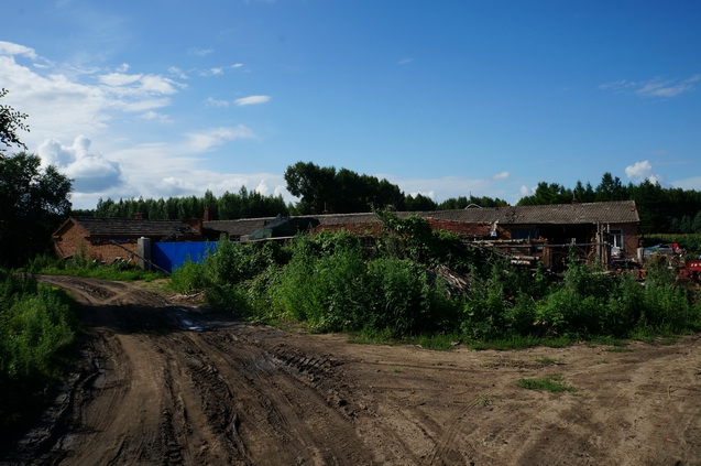 DSC01564.JPG