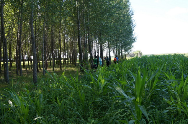 DSC01574.JPG