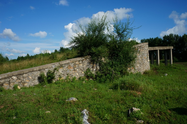 DSC01581.JPG
