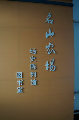 DSC01993.JPG