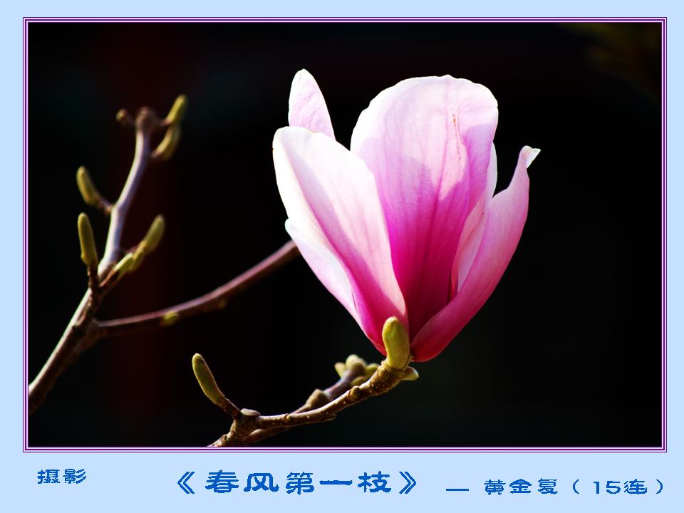 幻灯片17.JPG