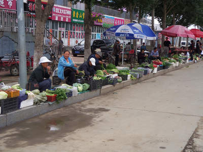 100_1071.JPG