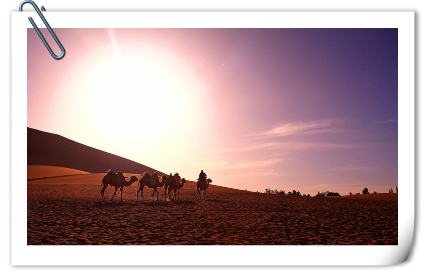 IMG_8299____.jpg