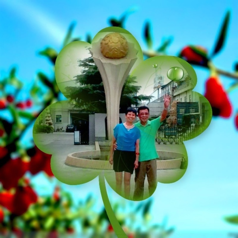 image.jpg