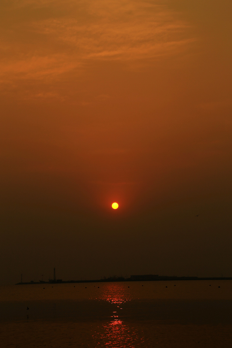 IMG_1414.jpg