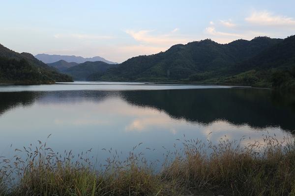 IMG_10820.JPG