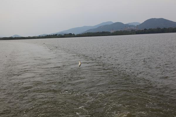 IMG_27590.JPG