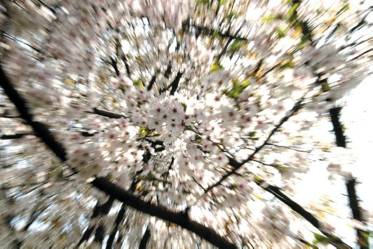 11721003_0800.jpg