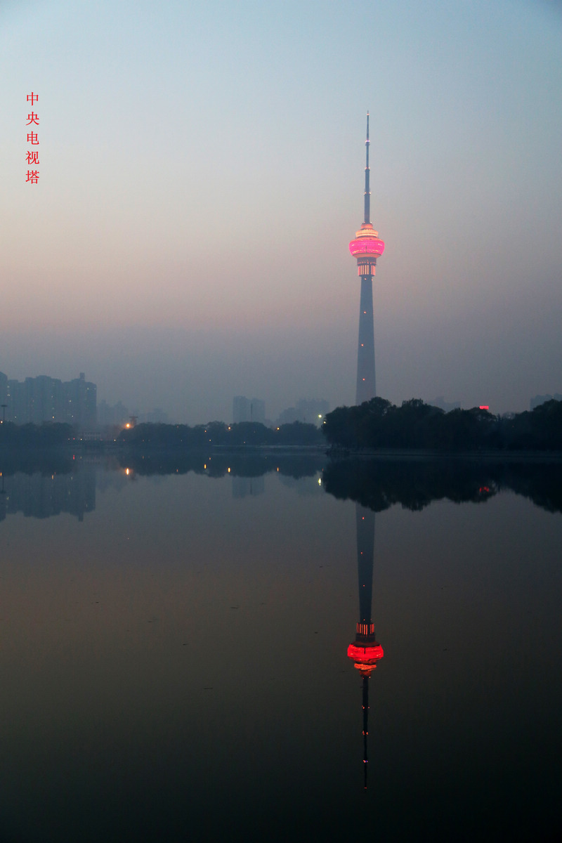 IMG_2424.jpg
