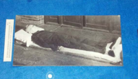 t011d815d845c0e1076.png