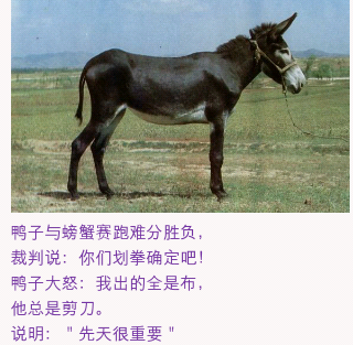 360ֻֽͼ1124_11_54_01.png