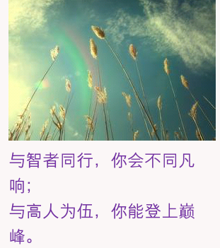 360ֻֽͼ1124_12_04_01.png