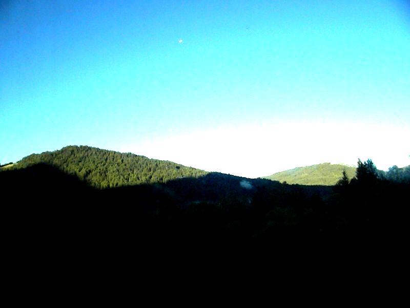 ŷƬ 1104.jpg