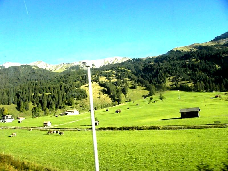 ŷƬ 1143.jpg