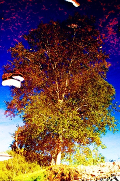 DSC04283_.jpg