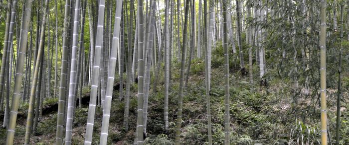 _DSC0109ָͼ.jpg