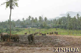 xinsimple_76c7197a3a9f11d897d700b0d03f0aaf.jpg