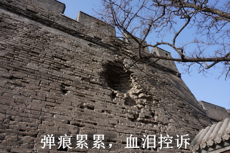 DSC09317-.JPG