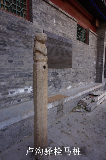 DSC09357-.JPG