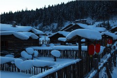 IMG_1203_.jpg