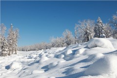 IMG_1513_.jpg